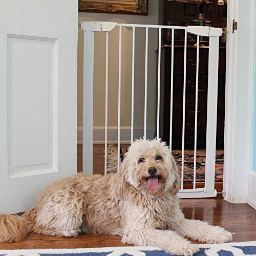 Photo 1 of Cardinal Gates PG22 Pressure Mounted Baby Gate - Adjustable Indoor Dog Gate - Steel Safety Gate for Kids & Pets - 29.5 to 32.5 Inches Wide - White
