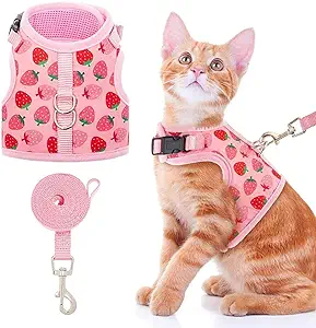 Photo 1 of BINGPET Cat Harness with Leash Escape Proof - Fashionable Mesh Cat Dog Walking Harness Leads, Adjustable for Kitties Puppies XL Animals