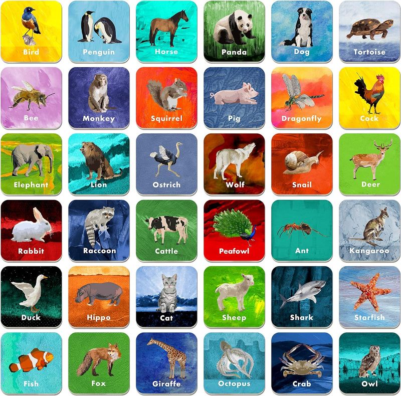 Photo 1 of 36 Pair Animal Matching Game Flash Cards Erasable (Each Measures 2” X 2”