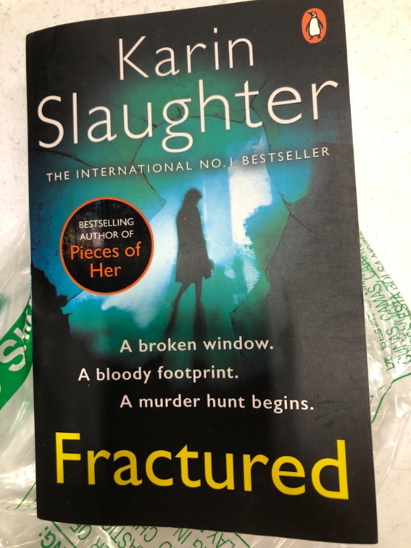 Photo 1 of fractured karin slaughter