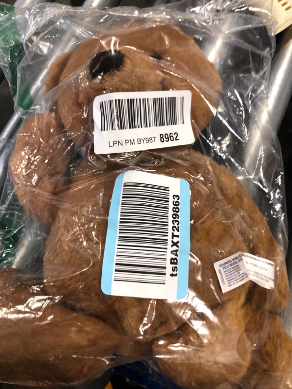 Photo 1 of Aurora® Snuggly Softie Bear™ Stuffed Animal - Comforting Companion - Imaginative Play - Brown 16 Inches Softie Bear 16 inches