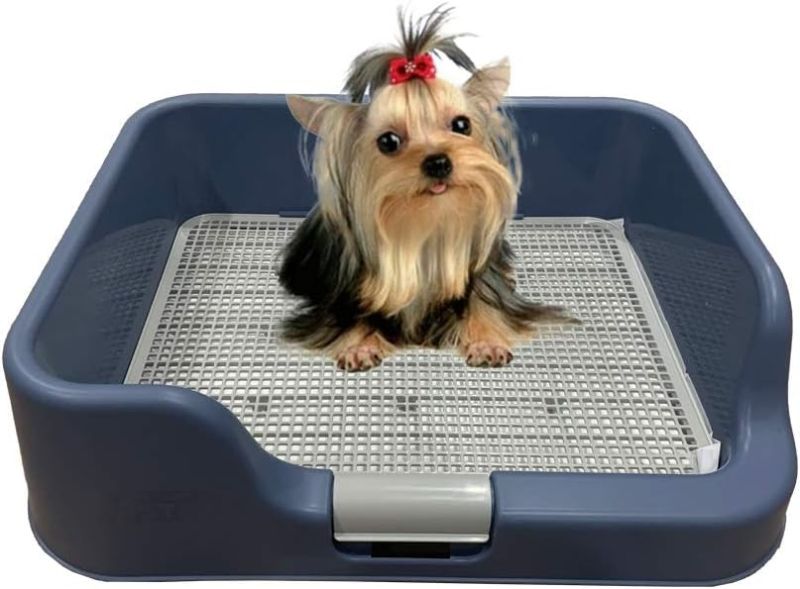 Photo 1 of [PS KOREA] Indoor Dog Potty Tray – with Protection Wall Every Side for No Leak, Spill, Accident - Keep Paws Dry and Floors Clean! (Blue)