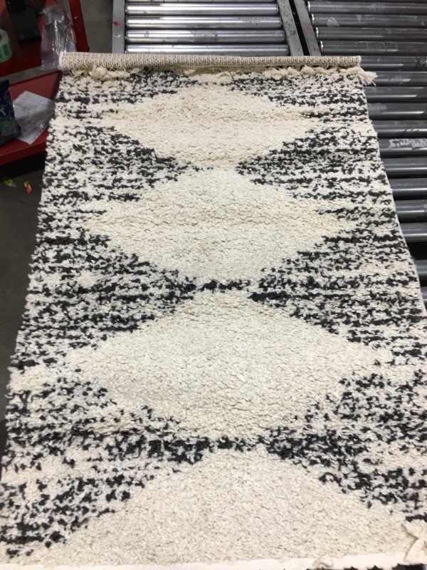 Photo 1 of 58x35 Rug 