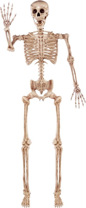 Photo 1 of JOYIN 5 ft Pose-N-Stay Life Size Skeleton Full Body Realistic Human Bones with Posable Joints for Halloween Pose Skeleton Prop Decoration