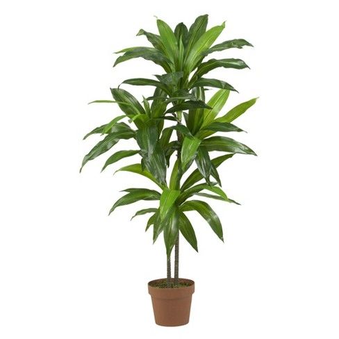 Photo 1 of 3.5ft Artificial Dracaena Silk Plant In Pot - Nearly Natural