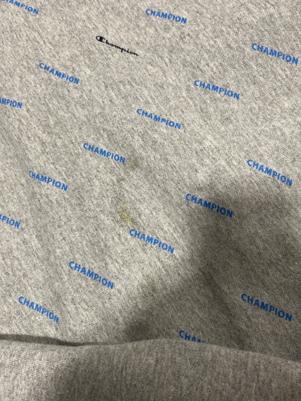 Photo 2 of CHAMPION HOODIE --- SMALL