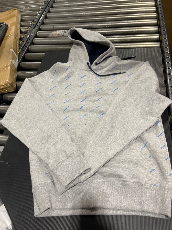 Photo 1 of CHAMPION HOODIE --- SMALL