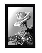 Photo 1 of Americanflat 12x18 Poster Frame, Black 