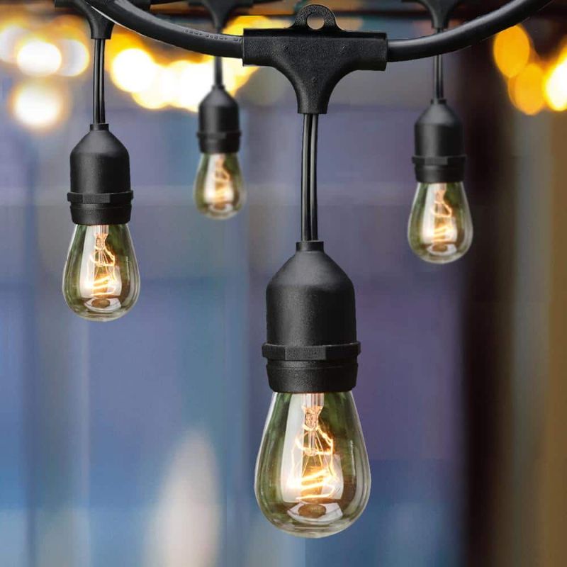 Photo 1 of 12-Light 24 Ft. Indoor/Outdoor Plug-in Incandescent Edison Bulb String Light
