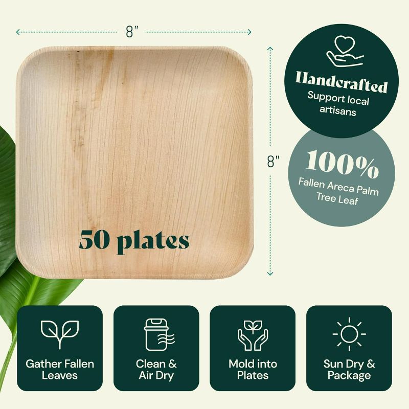 Photo 1 of Chic Leaf Palm Leaf Plates Bamboo Plates Disposable 8 Inch Square (50 Pc) Party Pack Compostable and Biodegradable Eco Friendly - Stronger than Plastic and Paper Plates
