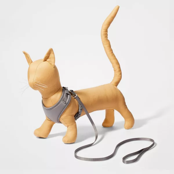 Photo 1 of Cat Walk Tether Set - 2ct - Boots & Barkley™
