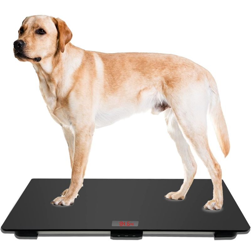 Photo 1 of Pet Scale for Large Dog, Veterinary Scale with Non-Slip Mat, Platform Scale, Weight Capacity Up to 220lbs, with Tare/Hold, 31.5X 19.7 Inches, Size L, Black