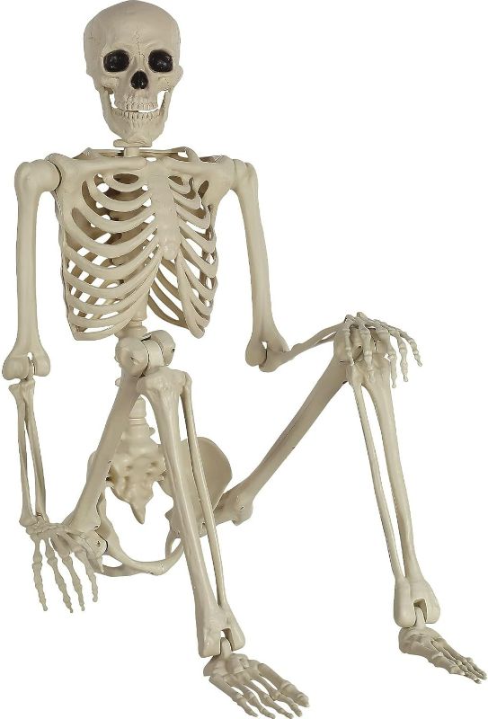 Photo 1 of Party City Life-Size Skeleton Poseable, 5ft - Full Size Skeleton Halloween Decor with Attached Cord for Hanging - Halloween Decorations for Indoor & Outdoor Use
