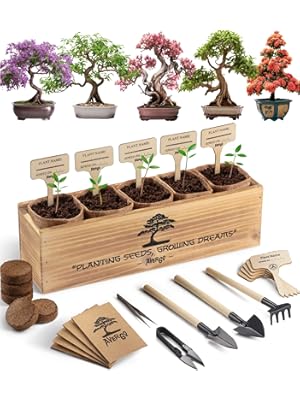 Photo 1 of Bonsai Tree Kit – 5X Unique Japanese Bonzai Trees | Complete Indoor Bonsai Starter Kit for Growing Bonsai Plants with Tools & Planters – Gardening Gifts for Women & Men