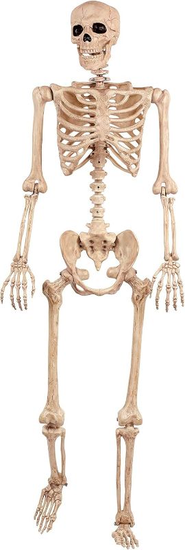 Photo 1 of Crazy Bonez Pose-N-Stay Life Size 5 FT Skeleton with Realistic Posable and Movable Joints for Halloween Indoor and Outdoor Decoration