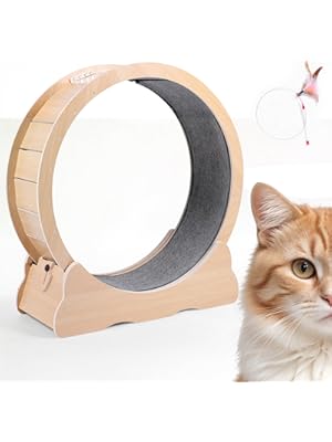 Photo 1 of Cat Treadmill for Indoor Cats by Korattee | Quiet, Scratch Resistant, Easy Clean. Large Cat Wheel Exerciser with Locking Mechanism for Safe, Fun, & Healthy Cats - Cat Room Accessories Must Have.