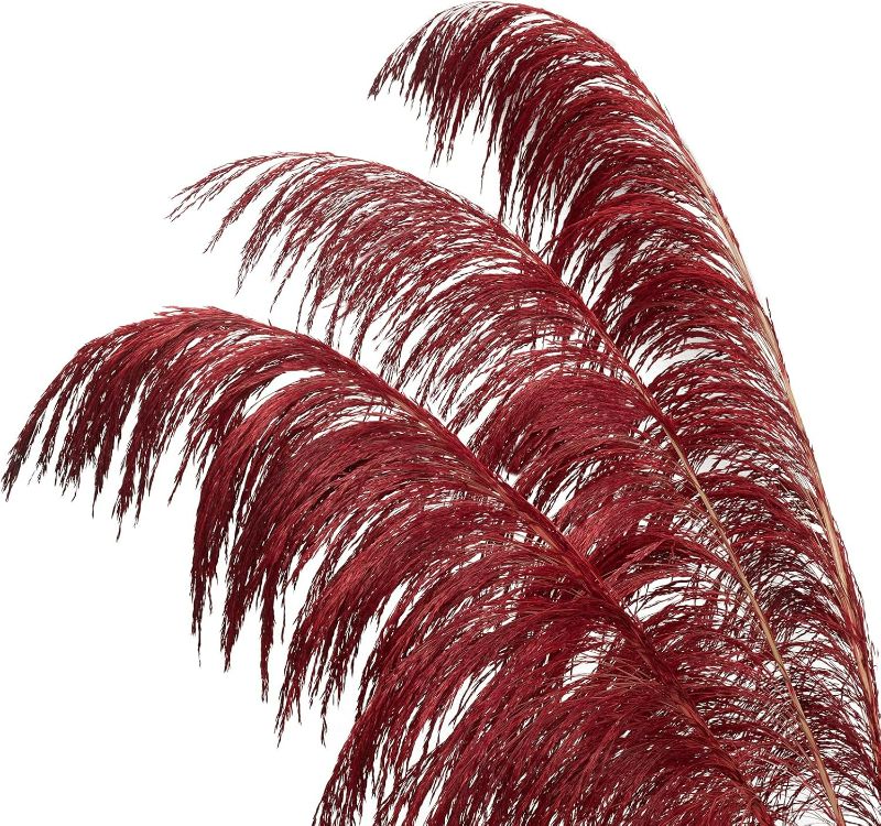 Photo 1 of 43''Red Pampas Grass Decor Tall, 3PCS Natural Pampas Grass Long Faux Flower Pompas Grass for Vase Filler,Wedding Flower Arrangement, Boho Home Decor