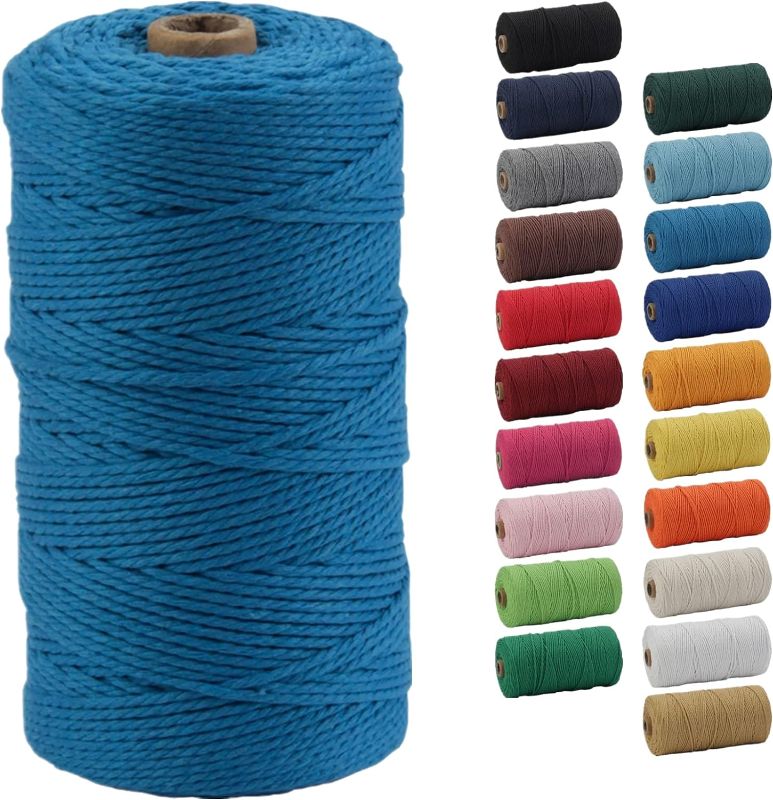 Photo 1 of 2 Pack -Macrame Cord, POZEAN 2mm x 220 Yards (About 200m) Colored Macrame Rope, 100% Natural Cotton Rope for Wall Hanging,Plant Hangers,DIY Crafts Knitting,Christmas Wedding Decorative Projects(PeacockBlue)
