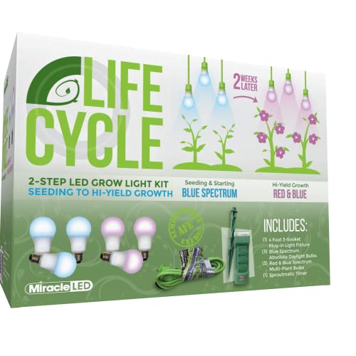 Photo 1 of Miracle LED Plant Life Cycle 3-Socket Synchronized Grow Light Kit with 3 Blue Spectrum Absolute Daylight Bulbs and 3 Red & Blue Spectrum Multi-Plant B
