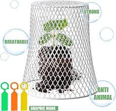 Photo 1 of Geosar 20 Pcs Chicken Wire Cloche Plant Protector Cover Metal Garden Cloche Dome for Plants Chicken Wire Protection Basket with Garden Stakes for Avoiding Rabbit Bird Other Small Animals Eat 