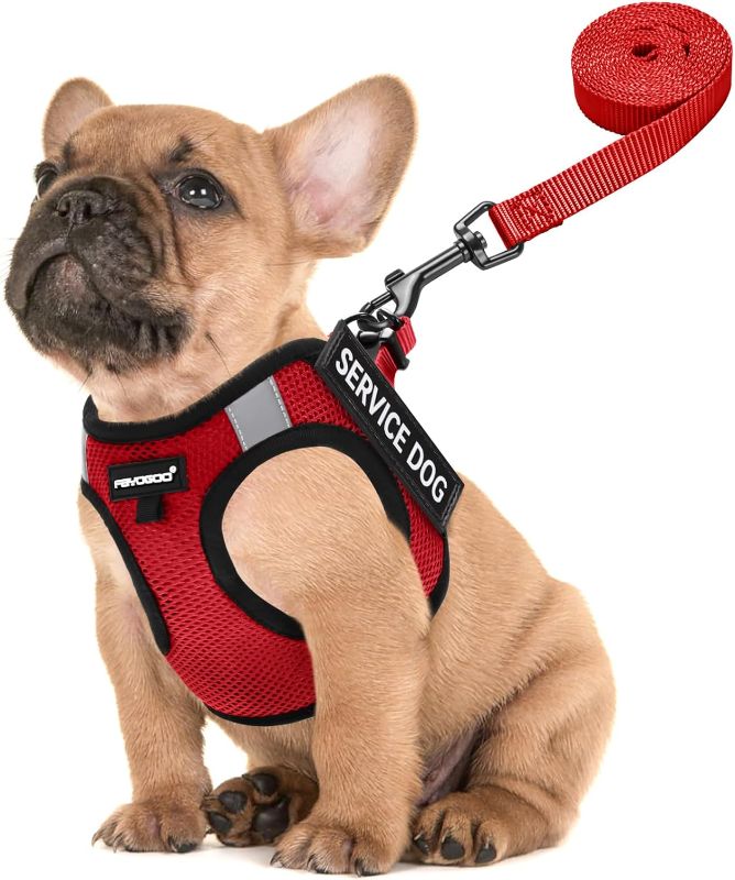 Photo 1 of Service Dog Vest for Small Breed - Lightweight Dog Harness with 6PCS Removable Patches - Puppy Harness and Leash Set for Walking,Training