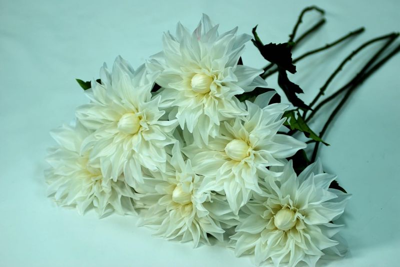 Photo 1 of FLORANET 6pcs Artificial Dahlia Flowers 25" Long Stem Fake Faux Silk Dahlias for DIY Decoration Bouquet Home Decor Wedding Party Table Centerpiece (8" Big Flower Head) (White)
