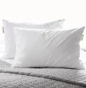 Photo 1 of  Green label soft pillow