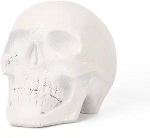 Photo 1 of  DN DECONATION White Skull Decor, Halloween Skull Decoration for Home, Skeleton Head Halloween Decor, Resin Skull for Day of The Dead, Tabletop
