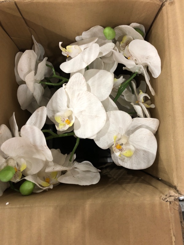 Photo 2 of **NONREFUNDABLE**FOR PARTS OR REPAIR**SEE NOTES**
Nearly Natural 4570 Triple Phalaenopsis Orchid in Glass Vase,Green/White