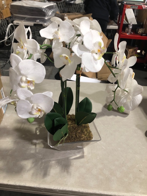 Photo 3 of **NONREFUNDABLE**FOR PARTS OR REPAIR**SEE NOTES**
Nearly Natural 4570 Triple Phalaenopsis Orchid in Glass Vase,Green/White