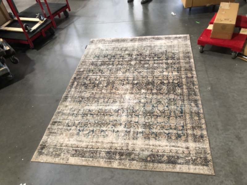 Photo 3 of ***USED - DIRTY - NO PACKAGING***
Loloi Amber Lewis x Morgan Navy/Sand 5'-0" x 7'-0" Area Rug