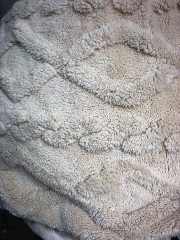 Photo 1 of  Beige Blanket  