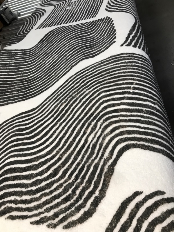 Photo 1 of 4x6ft white and grey rug