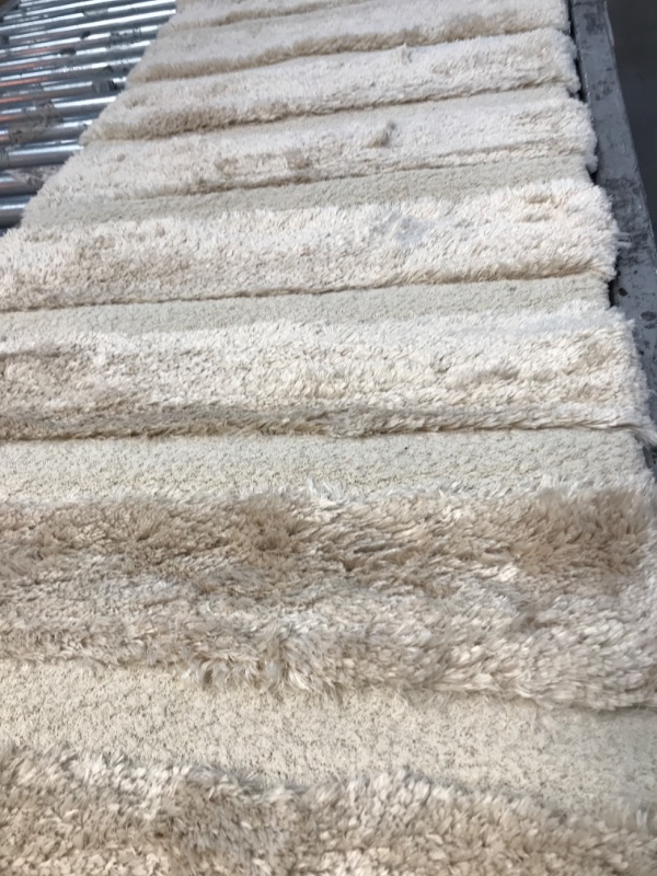 Photo 1 of 2x4ft shaggy tan rug