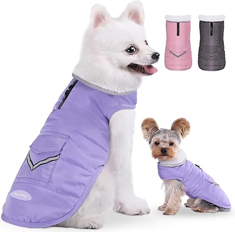 Photo 1 of   SIZE MED  iBuddy Dog Winter Coats with Fleece Vest,Waterproof Warm Dog Snow Jacket Windproof, Reflective Adjustable Pet Dogs Cold Winter Coat for Small Dogs Girl Boy
