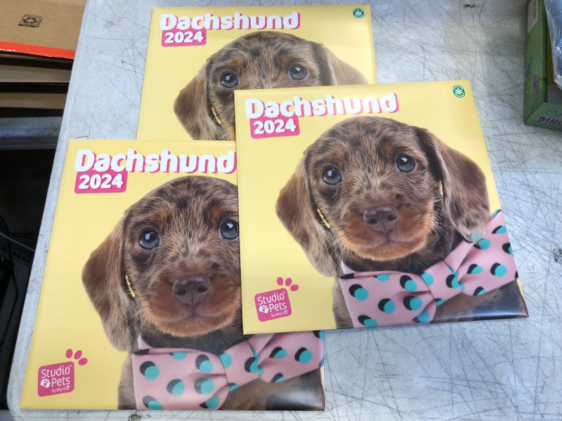 Photo 2 of +++PACK OF 3+++ Official Studio Pets Dogs Wall Calendar 2024 12" x 12" FSC® Plastic Free - Starts Week On Sunday | 12 Month Planner | Square Wall Calendar 2024 | Family Planner Calendar 2024 | Dachshund Calendar 2024 Dachshund 2024