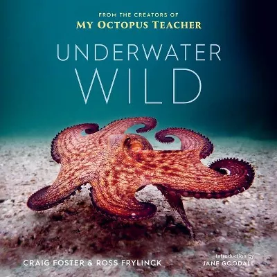 Photo 1 of Underwater Wild - by Craig Foster & Ross Frylinck (Hardcover)
