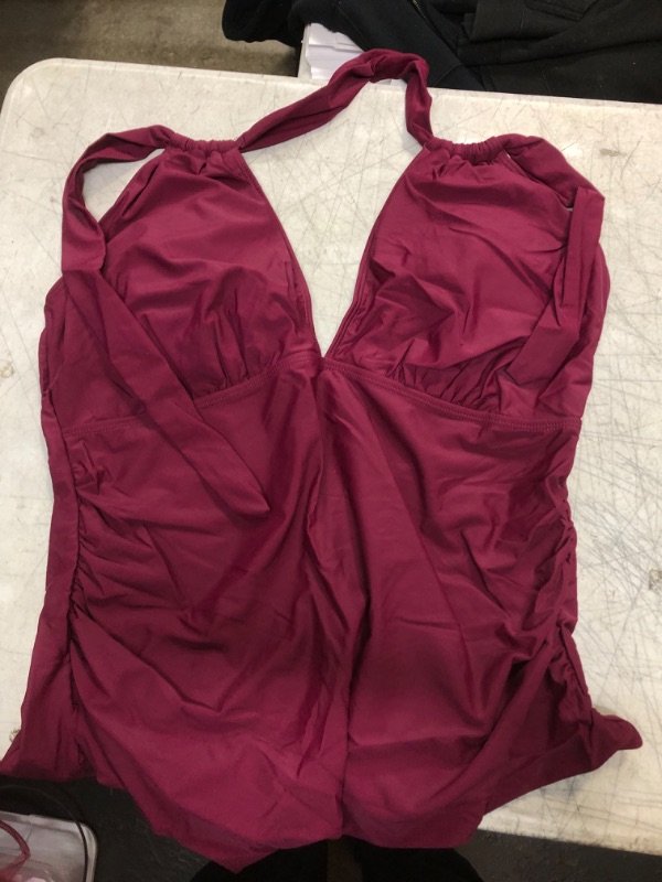 Photo 1 of Burgundy One Piece Swimsuit 22W