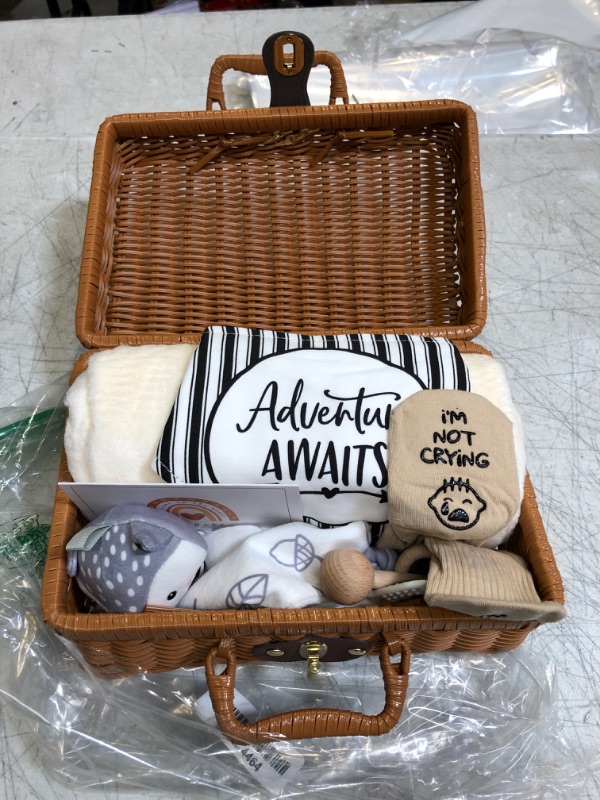 Photo 1 of BABY BASKET 