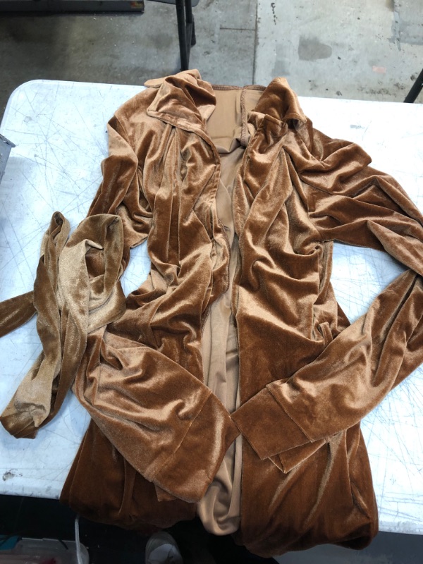 Photo 1 of Brown Velvet Dress Large 