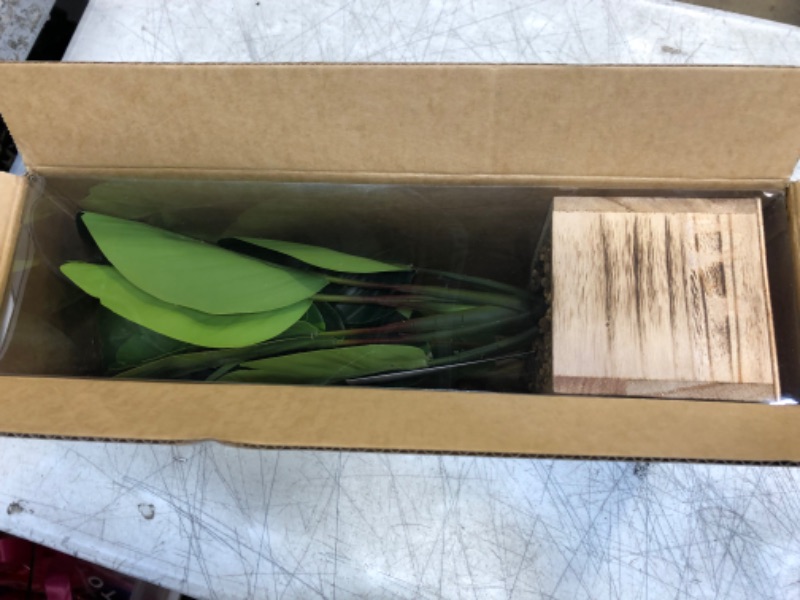 Photo 1 of 2 Pack Artificial Potted Plants 16" with Wooden Pot for Home Office Room Decor Greenery Fake Bird of Paradise Plant and Fake Fiddle Leaf Ficus Pandurata Plant Housewarming Gift