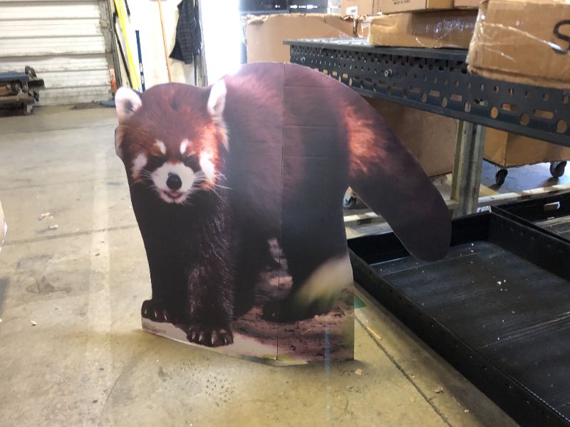 Photo 2 of Cardboard People Red Panda Life Size Cardboard Cutout Standup - Made in USA