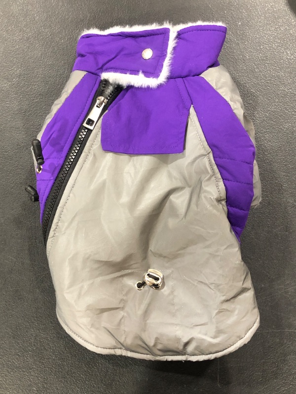 Photo 1 of (S) Purple/Silver Dog Cold Weather Coat - Cozy Waterproof Windproof 