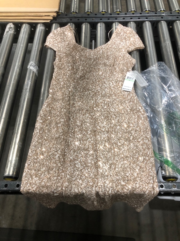 Photo 1 of Alex Evenings Petite Cap-Sleeve Sequined Lace Sheath Dress (Size 8P)