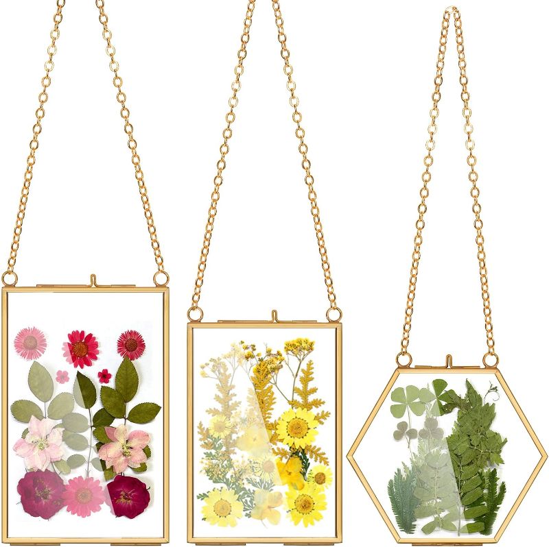 Photo 1 of AVLA 3 Pack Pressed Flowers Glass Frames, Brass Hanging Picture Frames with Chain, Small Golden Floating Photo Frame, Clear DIY Artwork Display Frame for Wall Decor, Dried Plant Specimen
