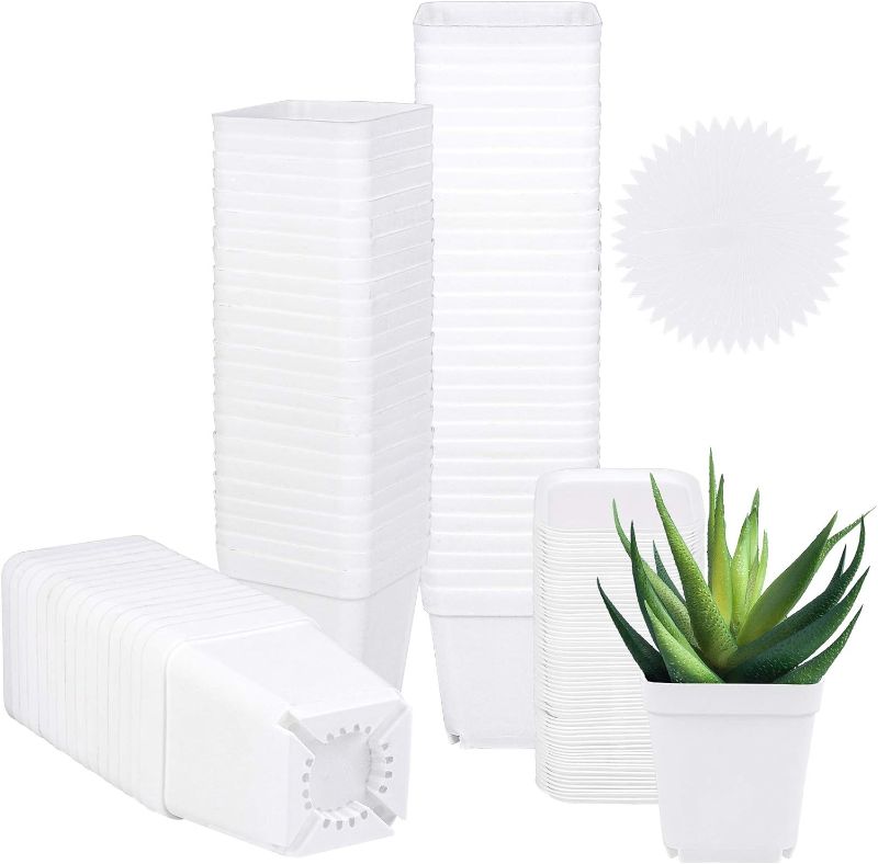 Photo 1 of ELCOHO 40 Pack 2.7 Inch Square Plants Nursery Pot White Plastic Plant Seedling Pots Flower Pots Nursery Transplanting Planter Container with Saucer for Your Room,Garden Office and Balcony Decor
