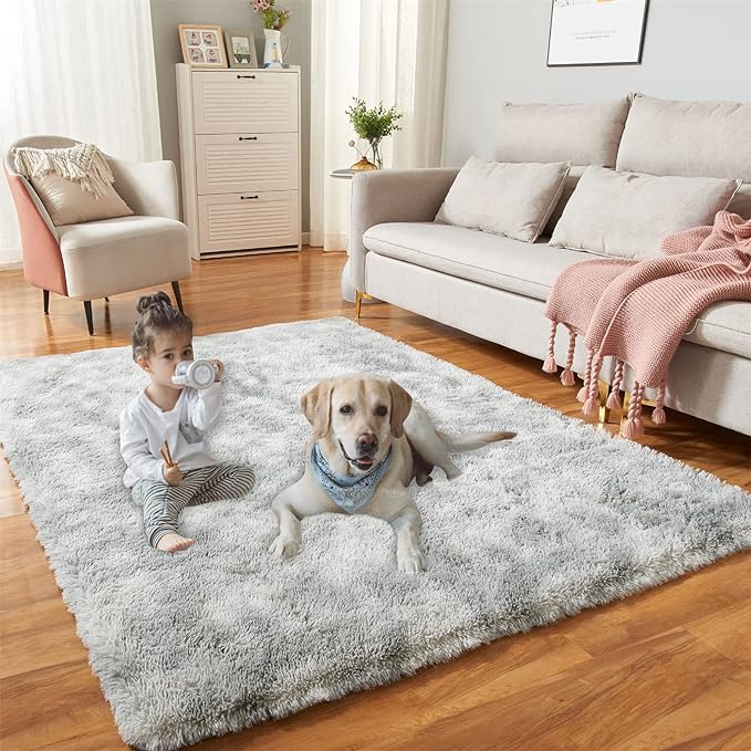 Photo 1 of 5x7 Feet Rugs for Bedroom, Tie-Dyed Light Grey Super Soft Shaggy Rugs Fluffy Carpets, Indoor Modern Plush Area Rugs for Living Room Dorm, Fuzzy Non-Slip Rugs for Boys Girls
