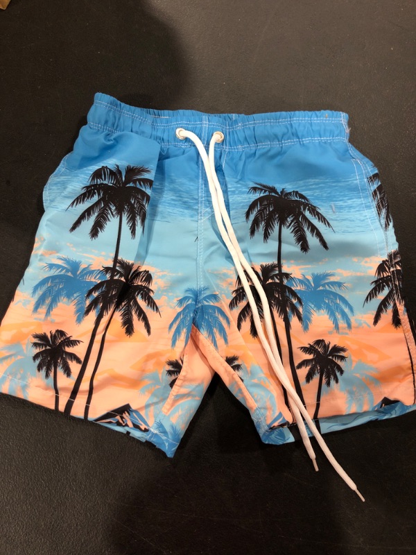 Photo 1 of Boys Swim Trunks Boxer Liner Stretchy Compression Hawaii Beach Swimwear Shorts UPF 50+ Quick Dry 7-16 