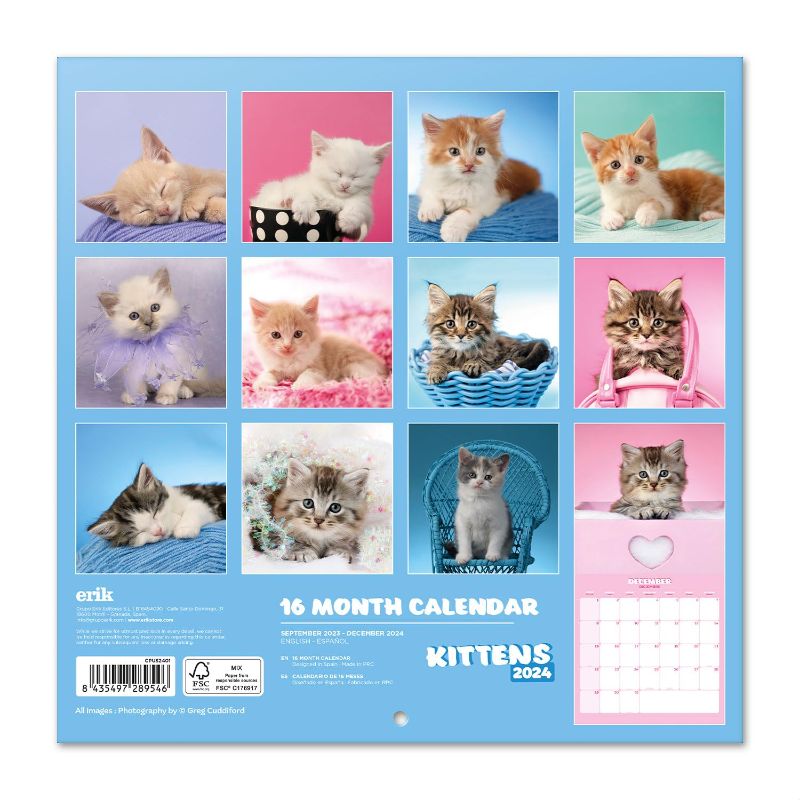 Photo 1 of Cats Wall Calendar 2024 12" x 12" FSC® Plastic Free - Starts Week On Sunday | 12 Month Planner | Square Wall Calendar 2024 | Family Planner Calendar 2024 | Cat Calendar 2024 | Kittens Calendar 2024