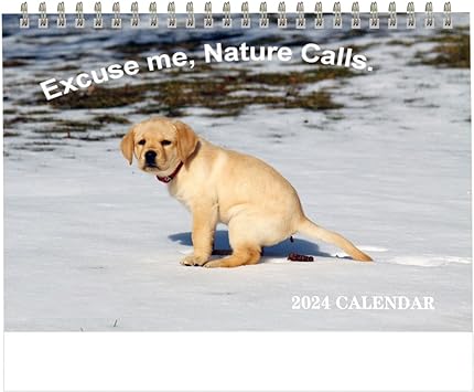 Photo 1 of 2024 Desk Calendar Dog Pooping Calendar 2024?12 Months Desk Calendar (Jan. 2024 - Dec. 2024)?7.5" x 9" ?Funny Calendar White Elephant Gifts (3pk)
